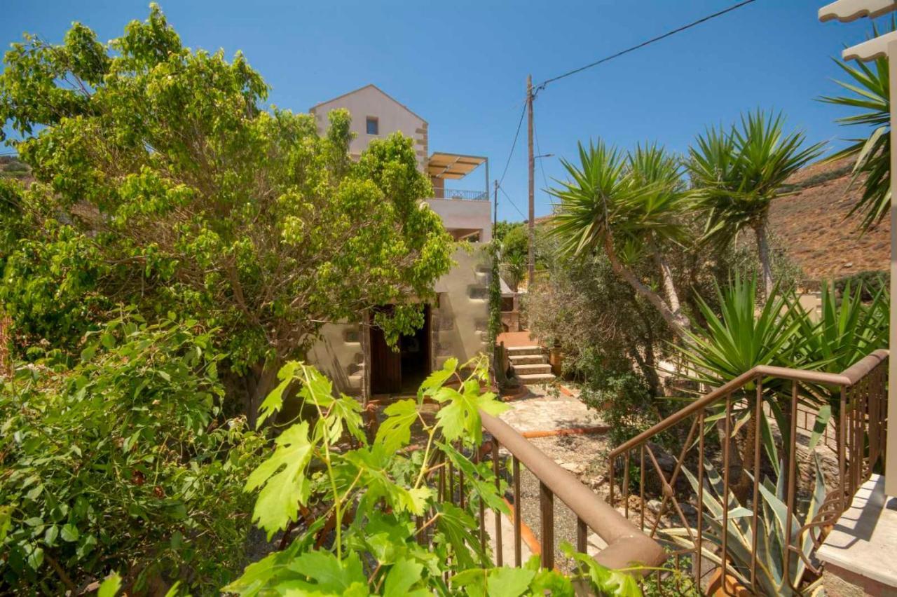 Stamatogiannis Traditional Apartments 凯里瓦尼 外观 照片